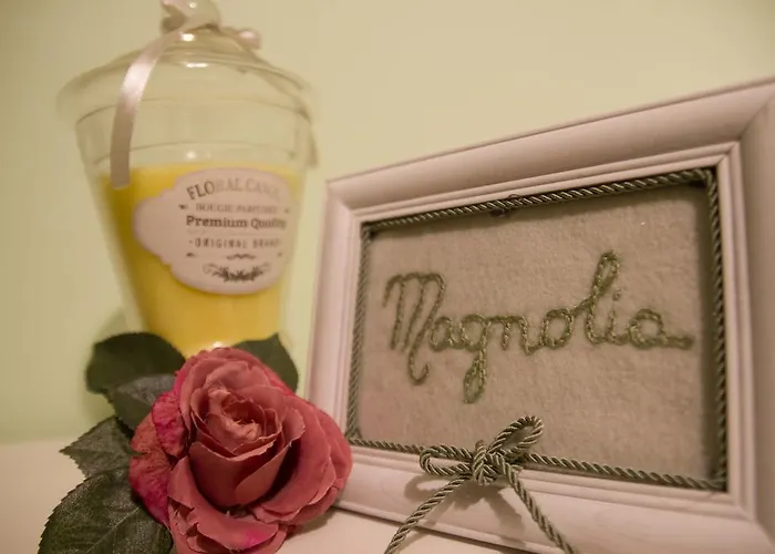 Buena Vista Montesilvano Marina